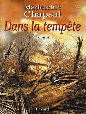 cover image of Dans la tempête